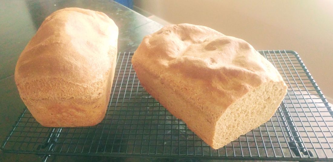 Whole wheat bread