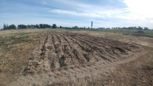 sand field with ripped marks in it