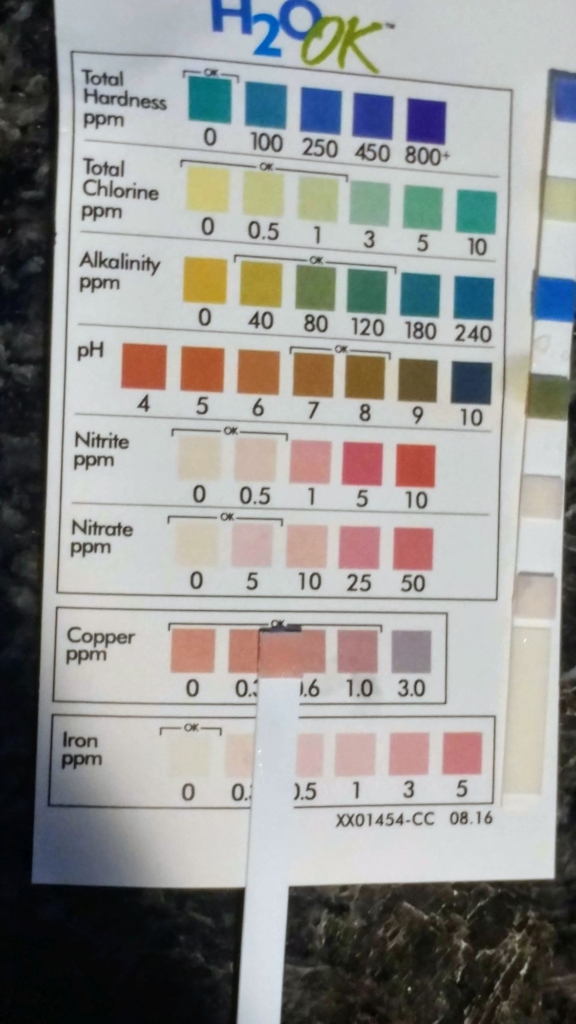 a water test and its results