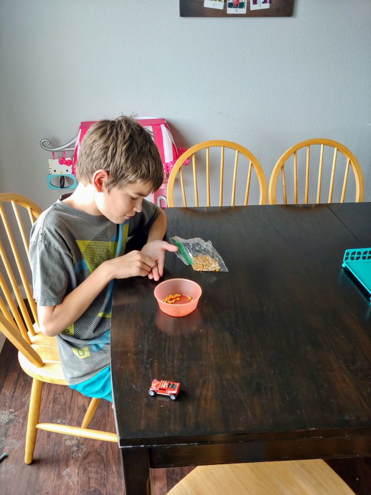 boy counting popcorn kernels in a bowl