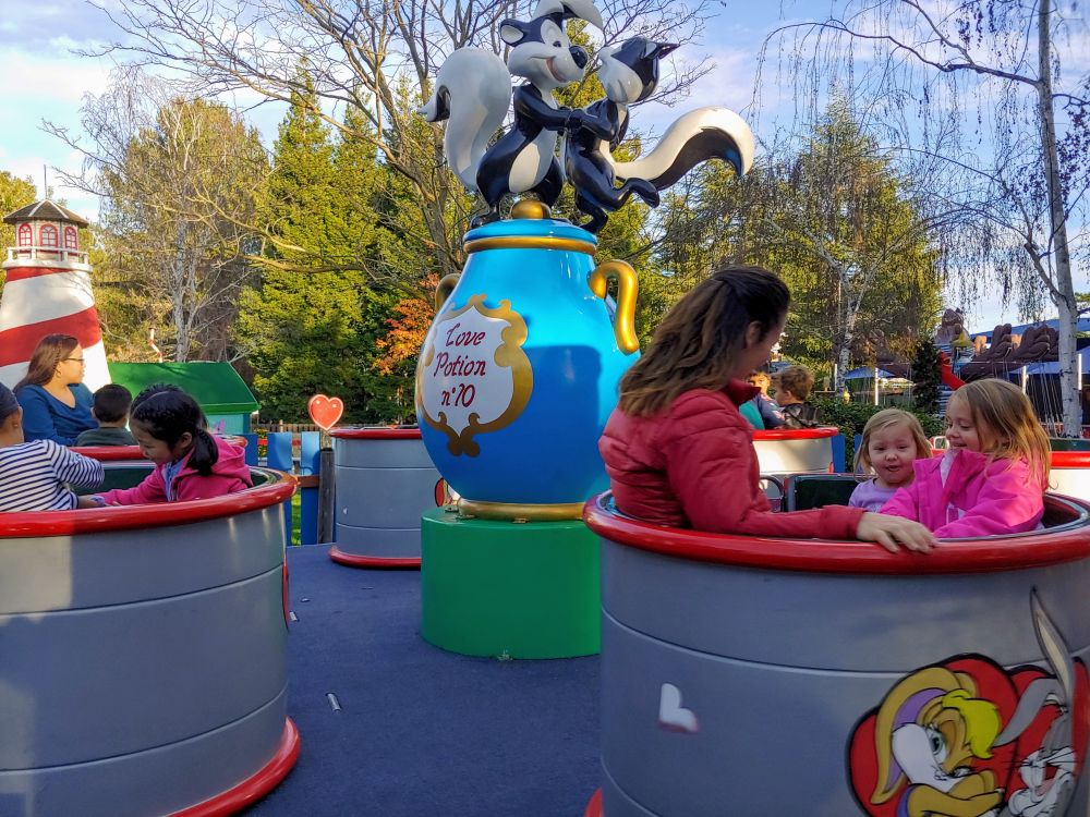 people riding a teacup type ride